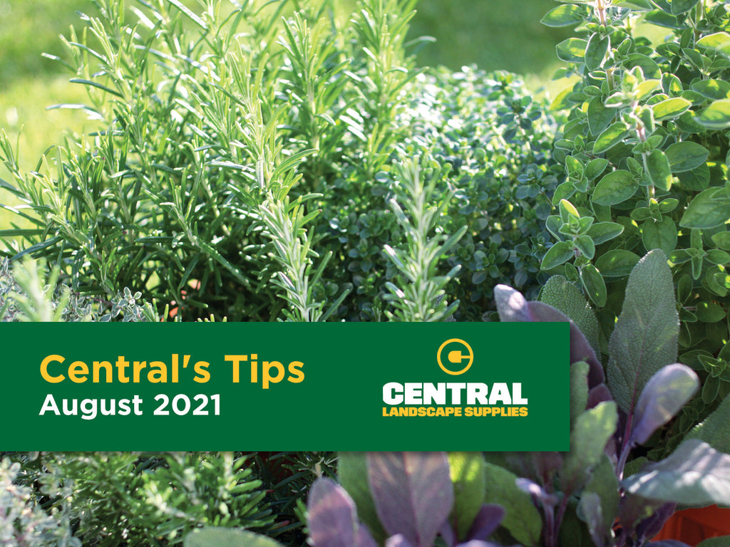 Centrals Tips - August 2021