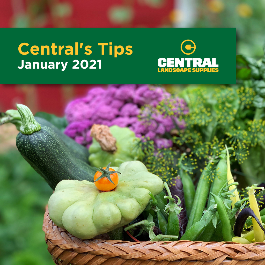 Central's Tips January 2022