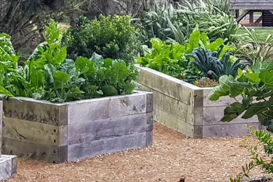 FAMILY VEGETABLE GARDEN - RAISED BEDS