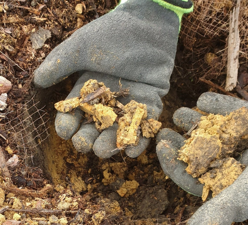 Dealing with clay soils and conditioning them for planting