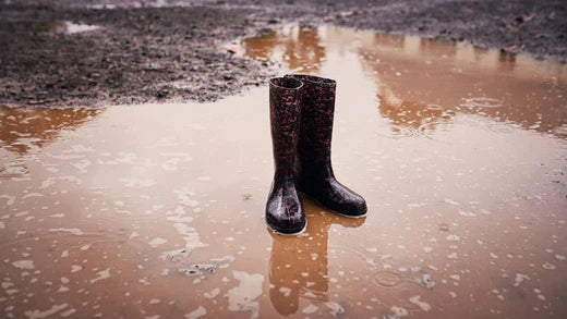 Flooded? Landscaping ideas to make your garden more resilient