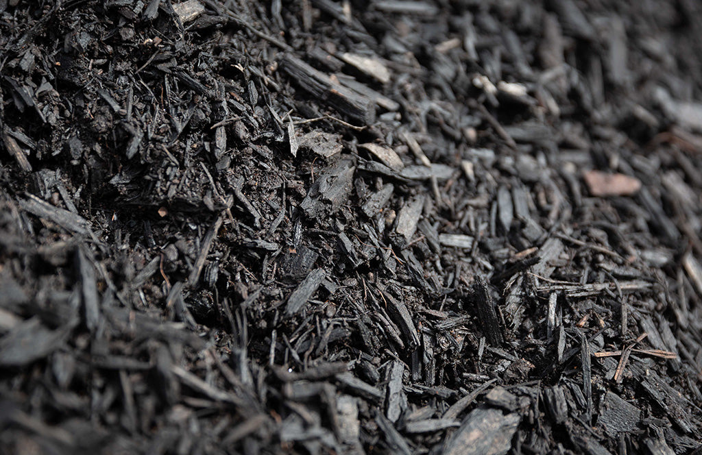 Premium Black Mulch